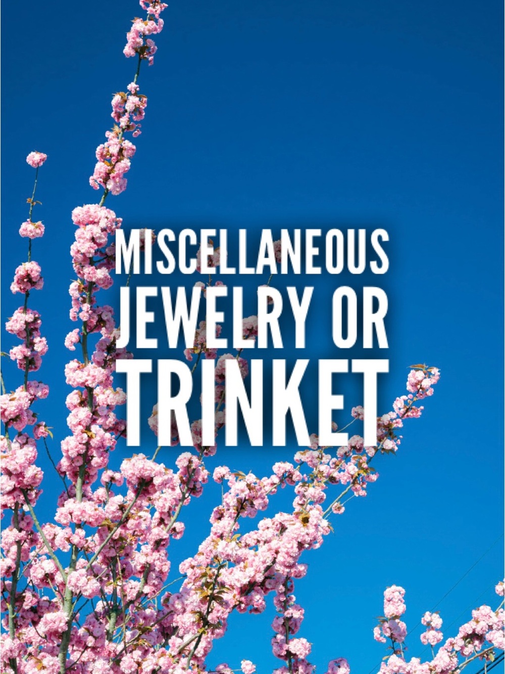 Miscellaneous Jewelry or Trinket